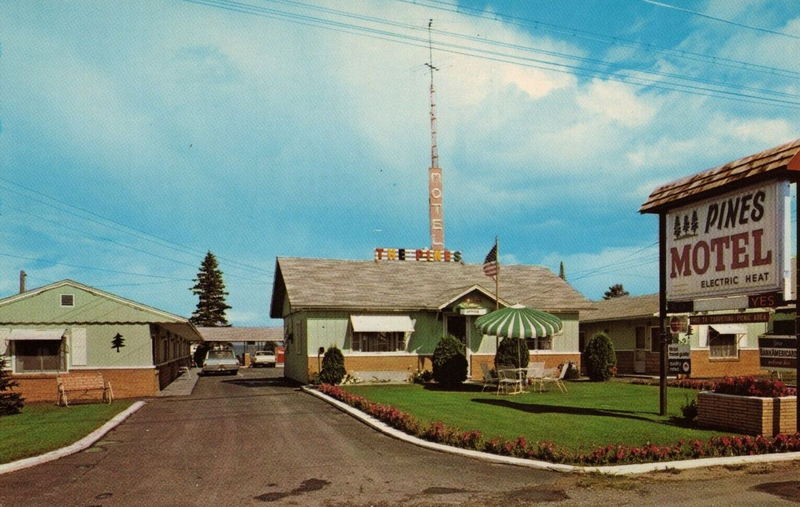 Pines Motel - Vintage Postcard